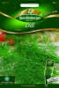 Dill Diana 