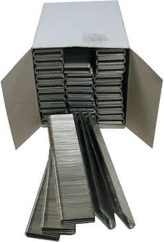 400650 #1