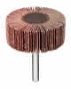 Lamellenschleifer Ø50x20 mm K60 kwb DIY