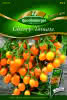 Cherry-Tomate Ildi Premium
