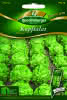 Kopfsalat, Cosima Premium