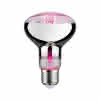 Leuchtmittel LED Fil Plant R80 E27 6,5W 