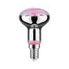 Leuchtmittel LED Fil Plant R50 E14 6,5W 