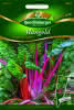 Mangold Magenta Sunset 