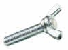 Flügelschrauben verz. M5x30 mm ähnlich DIN 316 (2 Stück) (PG K)