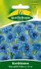 Kornblume, Blau, gefüllt 