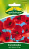 Klatschmohn Rot 