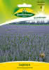 Lupine, blau 