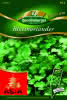 Blattkoriander, Cilantro Premium