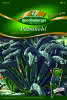 Palmkohl Nero di Toscana Premium