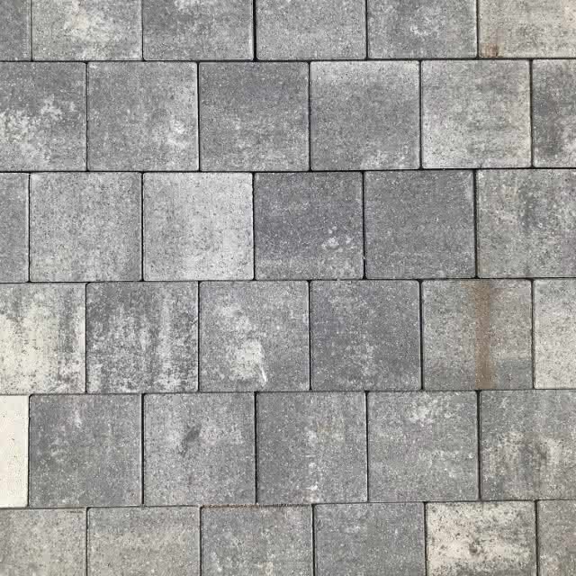 443074 #1