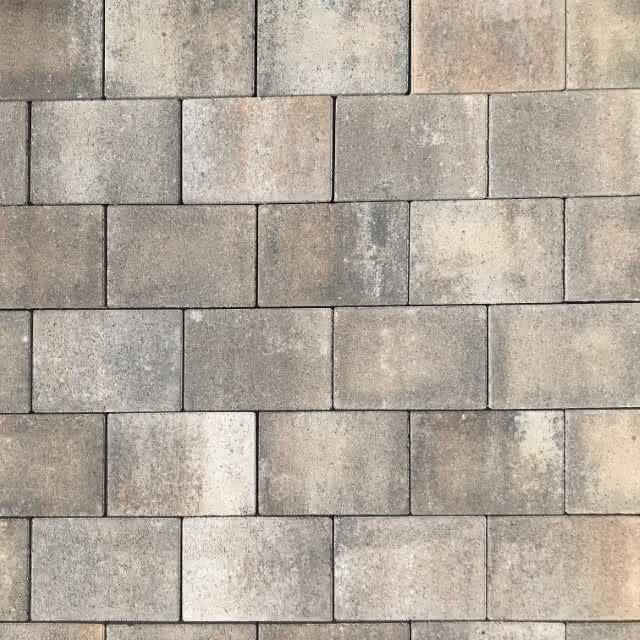 443075 #1