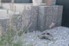 Granitpalisade Belleza Oscuro 10x25x200 cm, 6 seitig gestockt