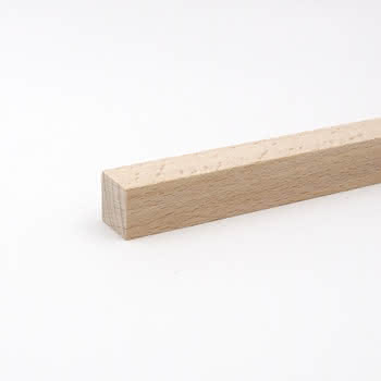 445204 #1