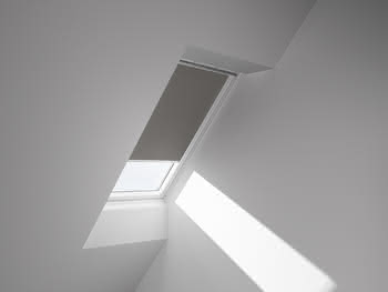 446096 #1