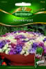 Steinkraut, Bunte Kissen Premium