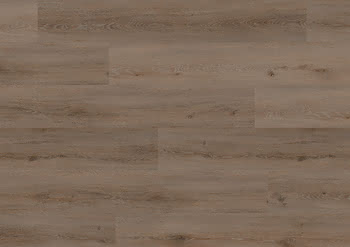 458290 #1