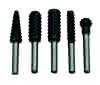 Profilraspel-Set f. Holz 6mm Schaft 5tlg 