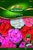 Geranien, stehende Mischung Premium