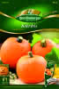 Kürbis Sweet Jack Premium