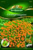 Orangen-Tagetes Orange GEM Premium