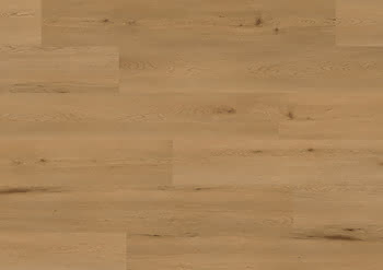 461783 #1