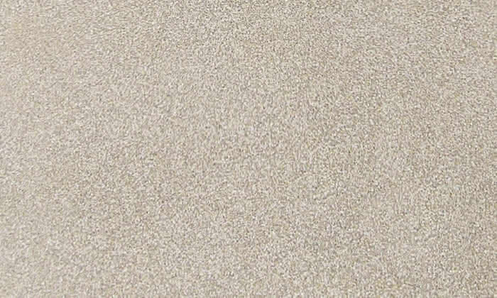 462503 #1