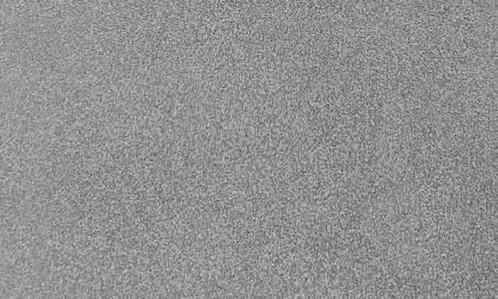 462509 #1