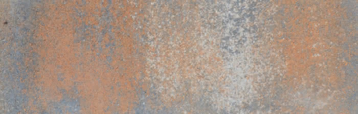 462605 #1