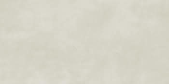 462983 #1