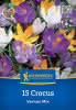 KK Crocus Großblumiger Mix 15St SP- Hbzw-PG Türkis