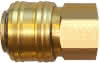 Schlauchkupplung 1/4" IG 